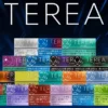 【IQOS TEREA】日版ILUMA專用加熱煙彈｜日本原裝20支入｜台灣現貨免運秒發