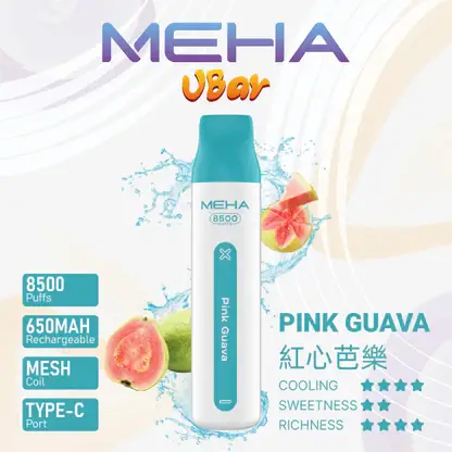 【MEHA魅嗨】小白條8500口一次性小煙｜3%丁鹽平順擊喉感｜現貨免運專區