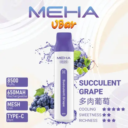 【MEHA魅嗨】小白條8500口一次性小煙｜3%丁鹽平順擊喉感｜現貨免運專區