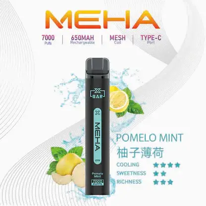 【MEHA XBAR 魅嗨】小黑條7000口拋棄式小煙｜3%丁鹽強勁擊喉｜台灣現貨免運
